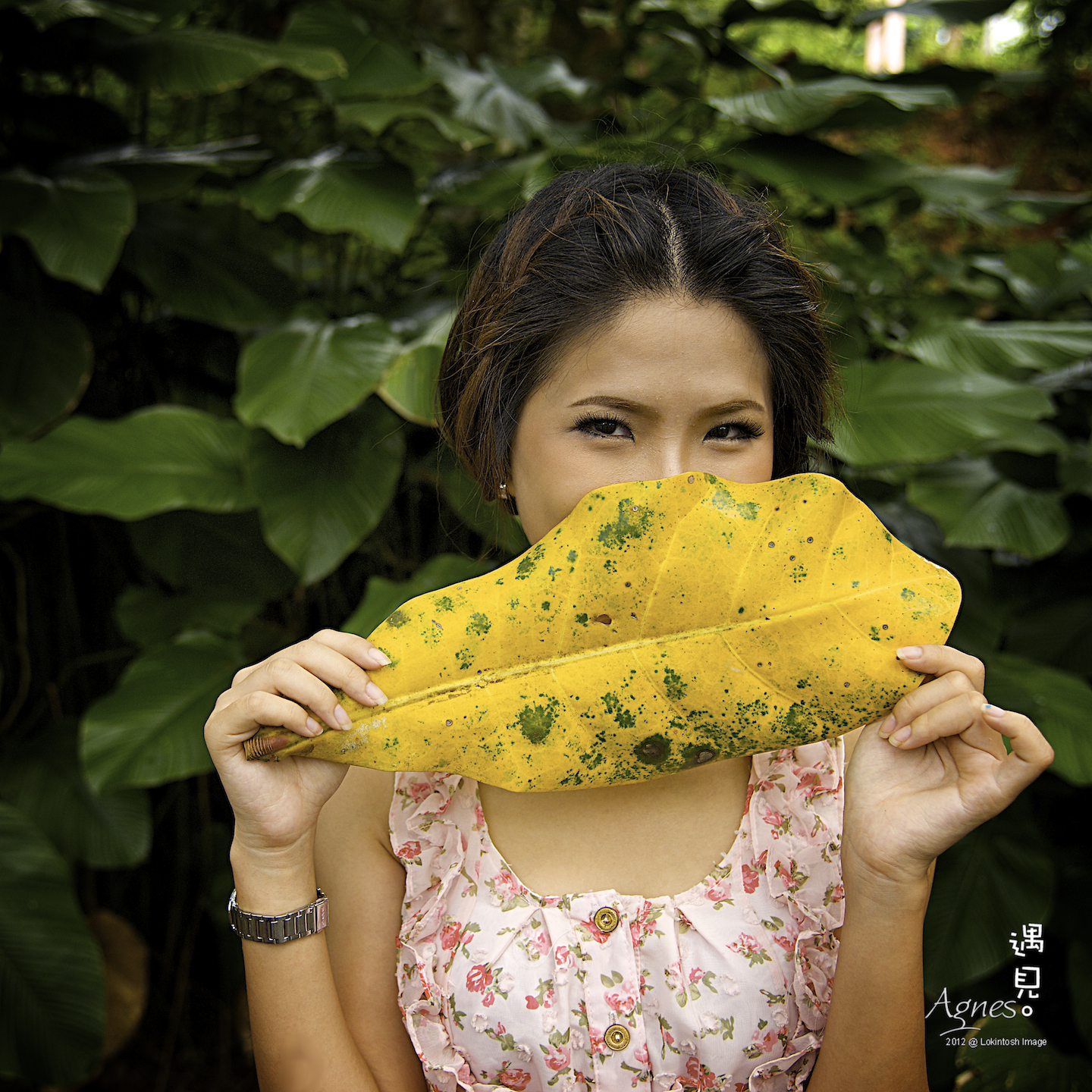 http://www.lokkerkhwang.com/agnes/05b.jpg
