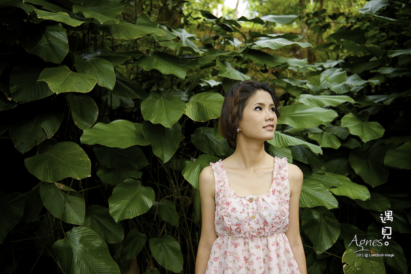 http://www.lokkerkhwang.com/agnes/55.jpg