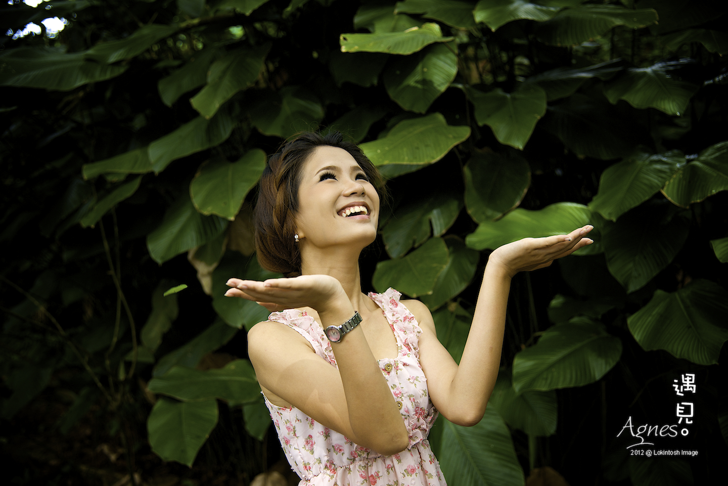 http://www.lokkerkhwang.com/agnes/66.jpg