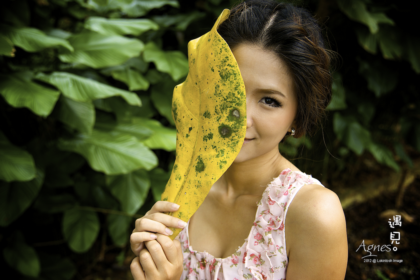 http://www.lokkerkhwang.com/agnes/67.jpg