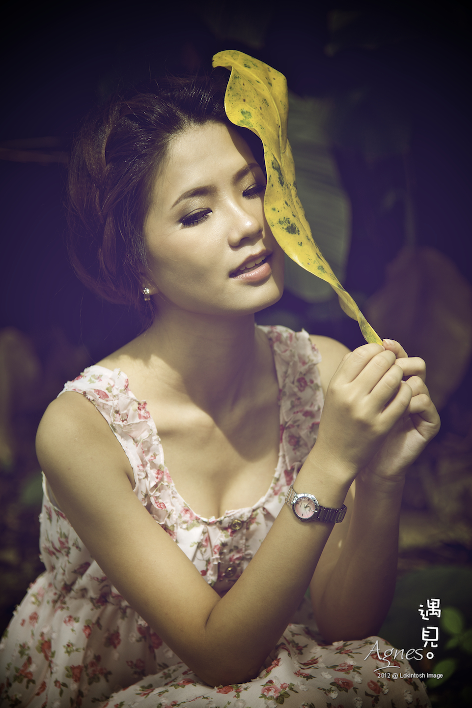 http://www.lokkerkhwang.com/agnes/68.jpg