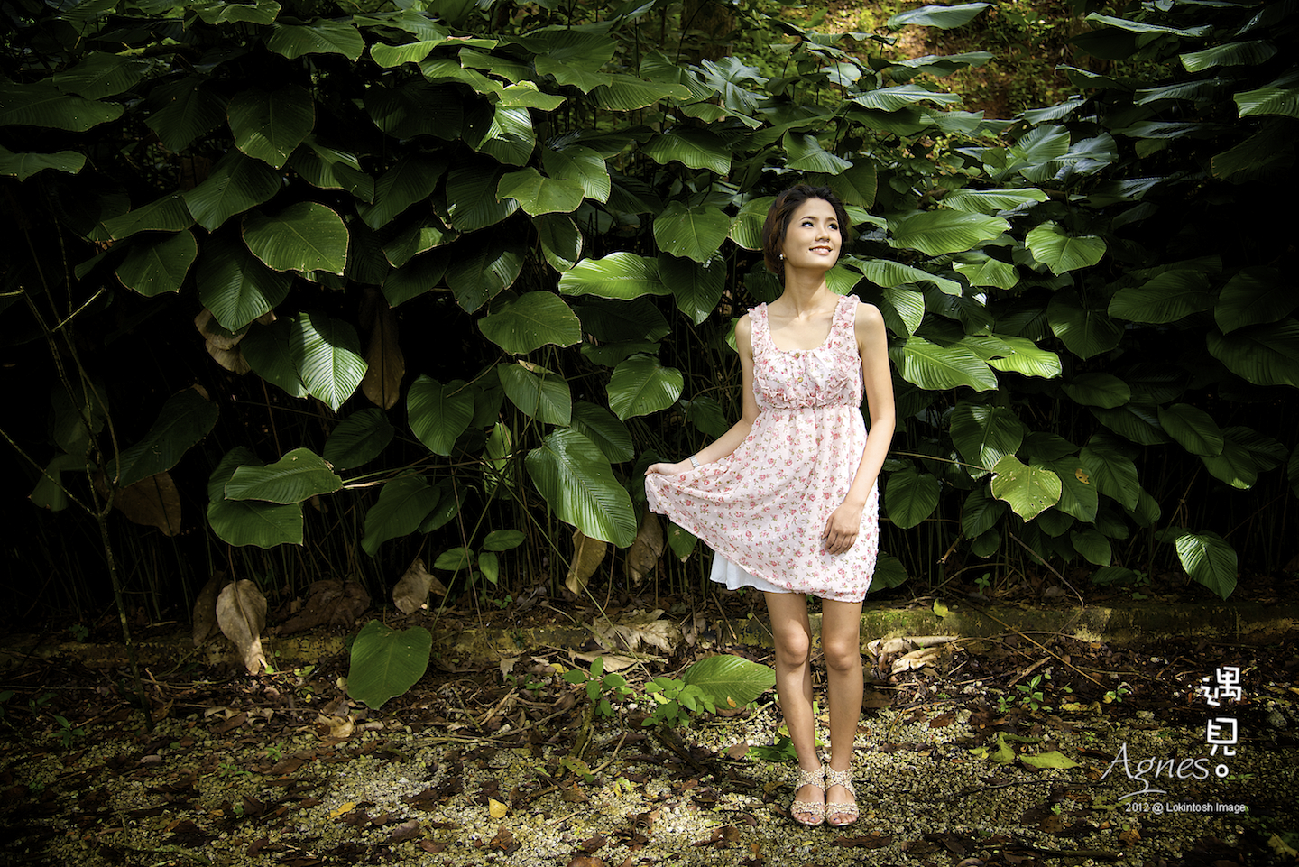 http://www.lokkerkhwang.com/agnes/72.jpg