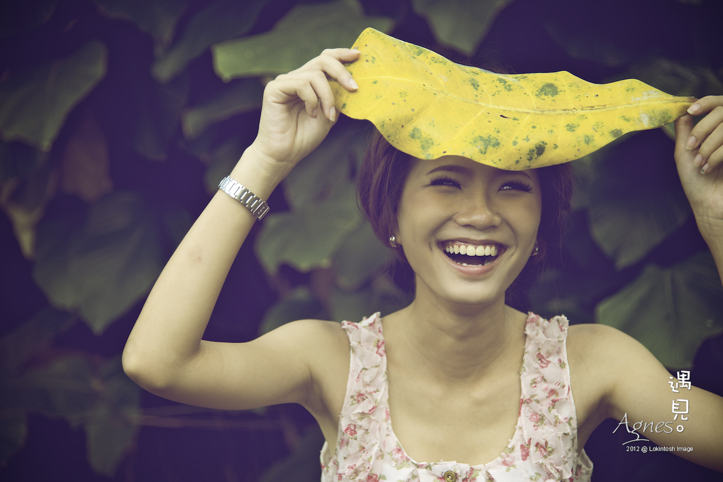 http://www.lokkerkhwang.com/agnes/74.jpg