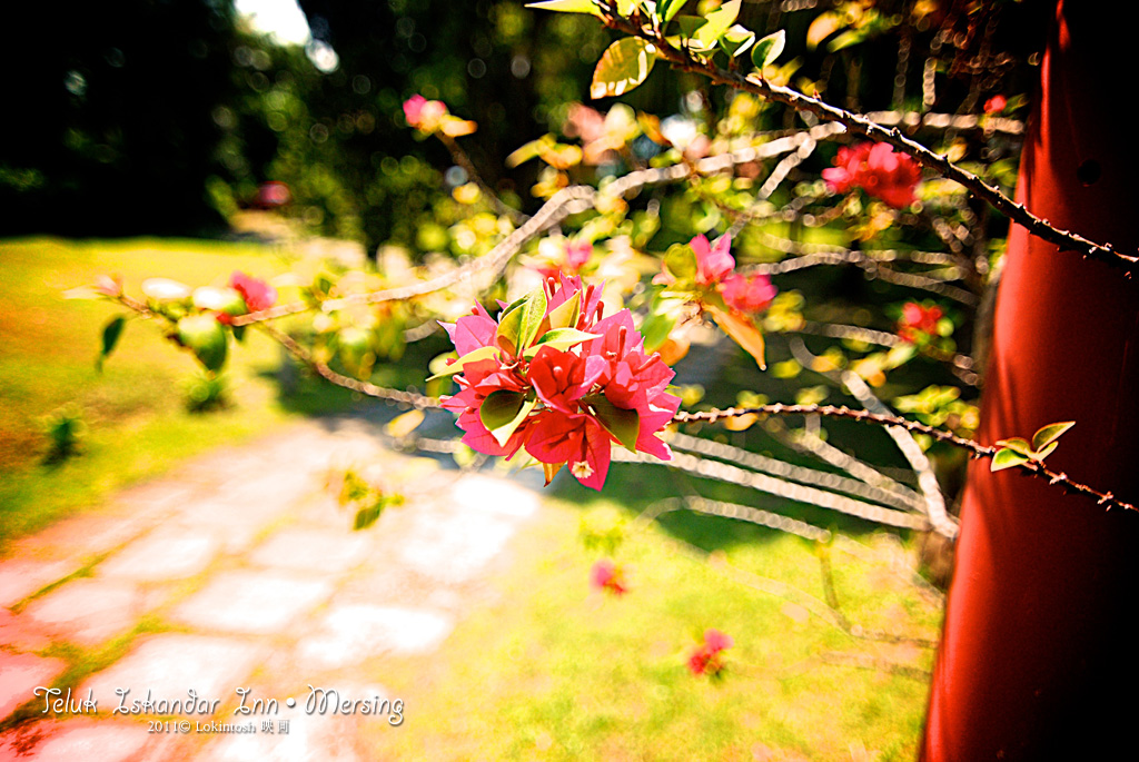 http://www.lokkerkhwang.com/teluk_iskandar_inn/16.jpg